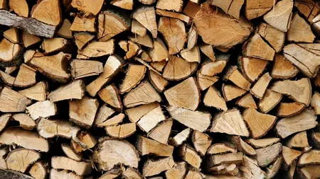 RNP-Romsilva va majora volumul de lemn pentru foc destinat populaţiei şi industriei pentru a acoperi cererea