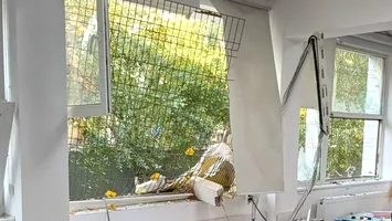 Decizia experţilor ISC pentru Liceul Bolintineanu, după explozia din Rahova