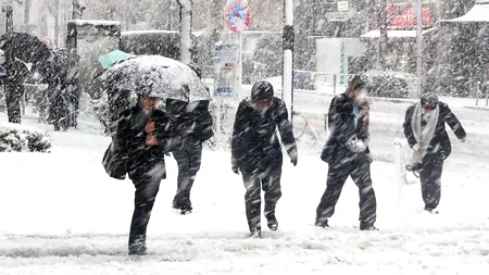 Zăpezile au lovit România! Cod galben de ninsori în mai multe județe