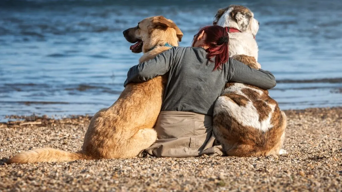 Deținerea unui câine, o soluție pentru a reduce riscul de eczemă al copiilor