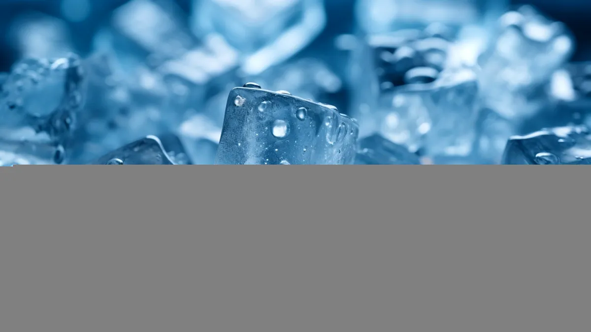 Trei adolescenți au inventat un congelator care nu are nevoie de electricitate pentru a produce gheață