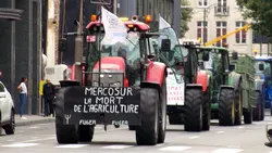 200 de fermieri români ies în stradă la Strasbourg, alături de colegii din UE. Cer stoparea Acordului Mercosur