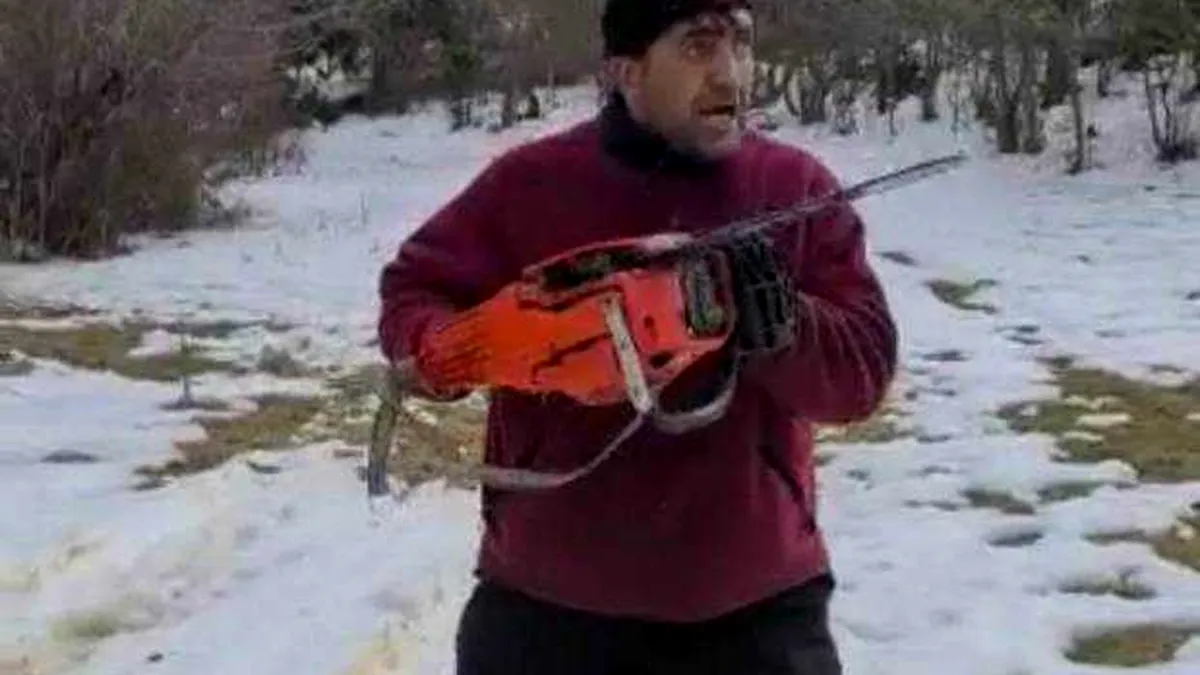 Pădurari, atacați cu drujbe și topoare! Hoții au fost reținuți VIDEO