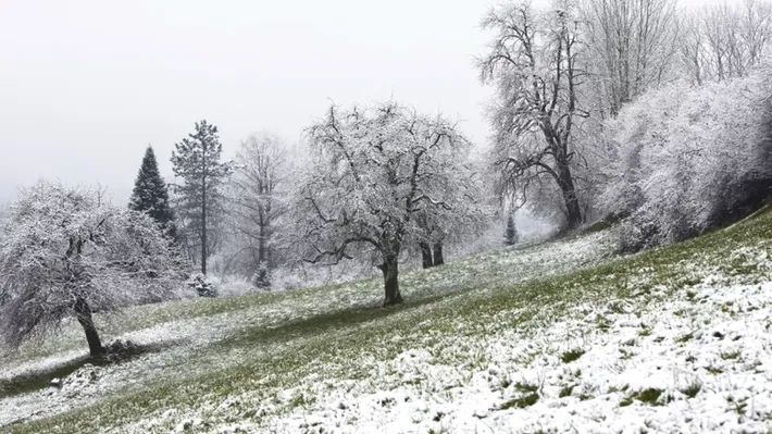 Iarnă, primăvară și din nou iarnă. Cum se schimbă radical vremea în doar câteva zile