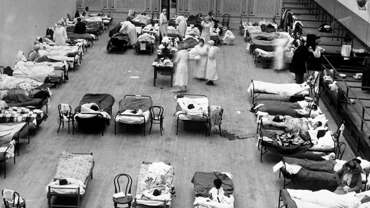 Un fel de „școală online”: Ce fel de epidemii au afectat Ţările Române în secolul XIX?