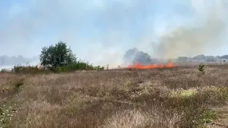 Circulaţie îngreunată pe DN 61 din cauza fumului dens în urma unui incendiu de vegetaţie