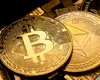 Guvernul vrea să reglementeze piața cripto: taxă de 0,5% și sancțiuni dure pentru ilegalități