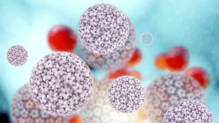 Infecțiile HPV afectează o treime dintre tinerii cu vârste peste 15 ani