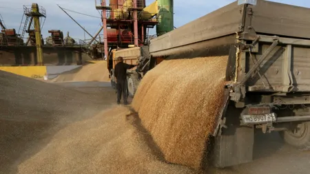 Fermierii români ajung să rămână cu marfa pe stoc din cauza grâului ieftin al ucrainenilor