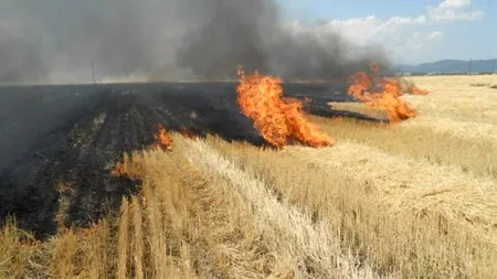 APIA le interzice fermierilor să mai ardă resturile vegetale de pe terenurile arabile