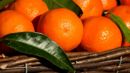Unde se găsesc cele mai scumpe mandarine: O ladă vândută cu 10 000 de dolari