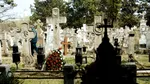 Situație neobișnuită la Buzău. Cimitirul, transformat în spațiu de recreere