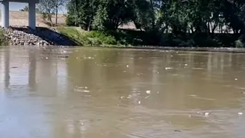 Tone de deșeuri coboară pe Someș, spre Ungaria (Video)