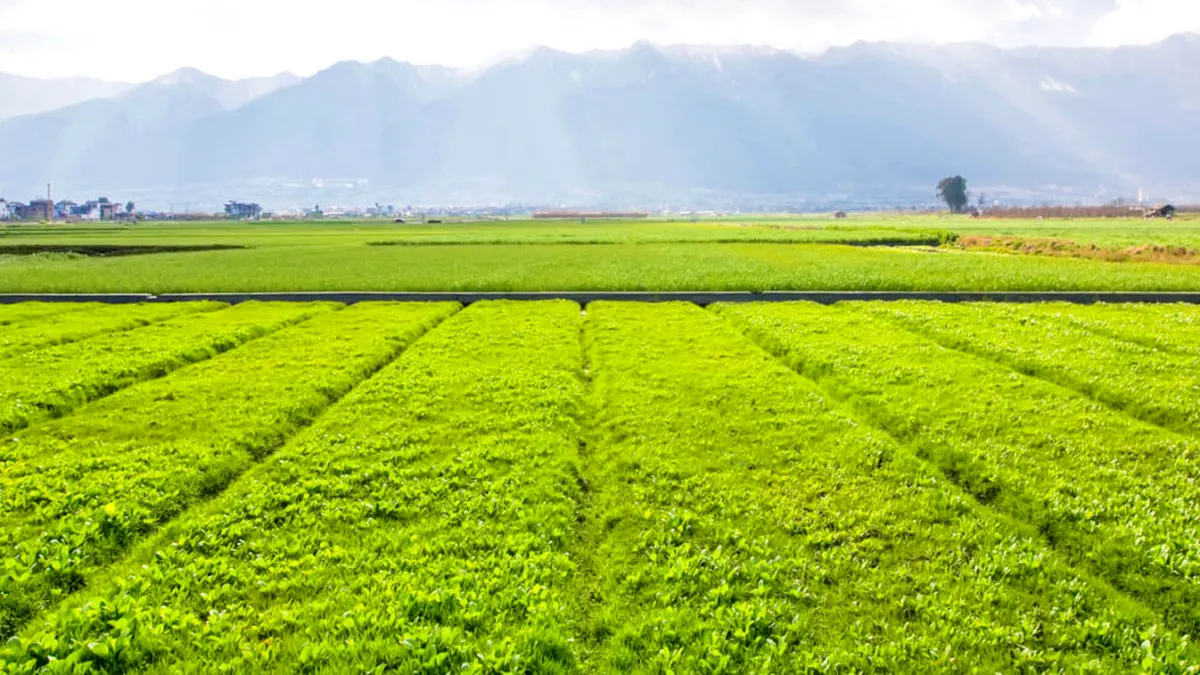 MADR: Avem 14.000 de operatori înscrişi în agricultura ecologică şi aproape 700.000 de hectare