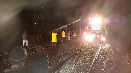 Trenul Arad-Bucureşti, blocat în Hunedoara din cauza copacilor căzuți pe linii