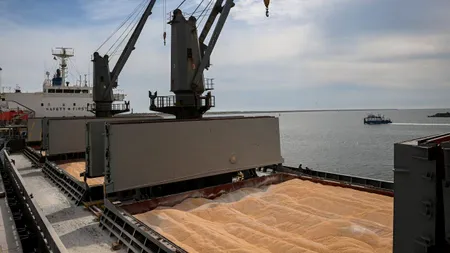 Cerealele românești revin în forță! Vești bune pentru fermieri, au crescut prețurile