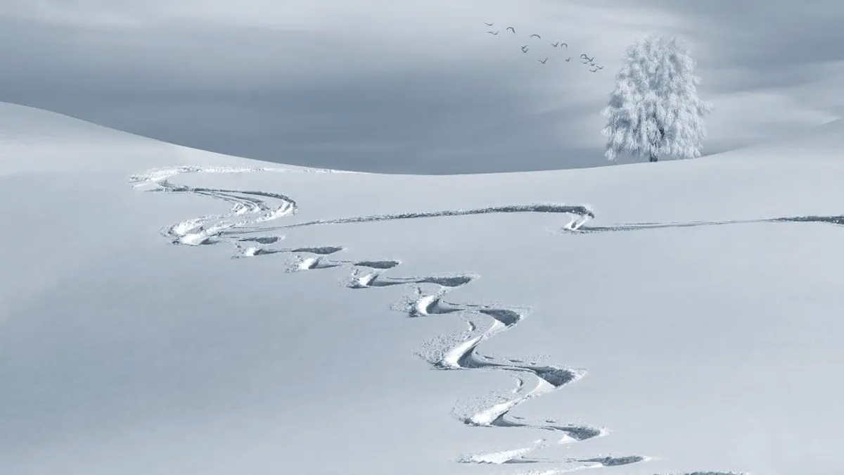 Soluții extreme pentru perioada de iarnă: Controale la frontieră pentru ca turiștii să fie împiedicați să plece la schi în străinătate