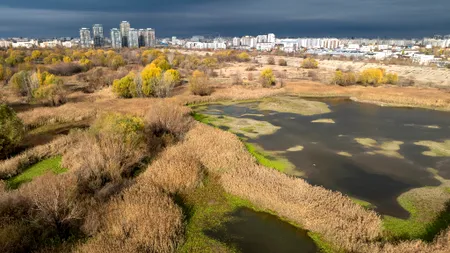 Parcul Natural Văcărești – nivelul apei crește, se reface delta Bucureștiului!