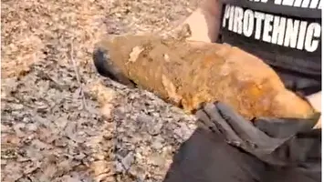 Obuz din Al Doilea Război Mondial, descoperit în pădure lângă Băile Felix