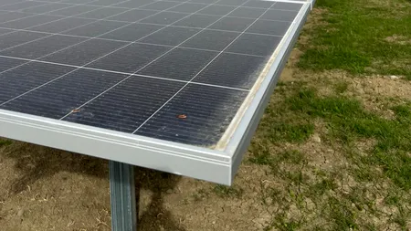 Investiție de 100 de milioane euro, în cel mai mare parc fotovoltaic din România
