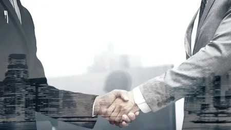 Analiză Termene.ro: 2022, cel mai profitabil an pentru companiile românești