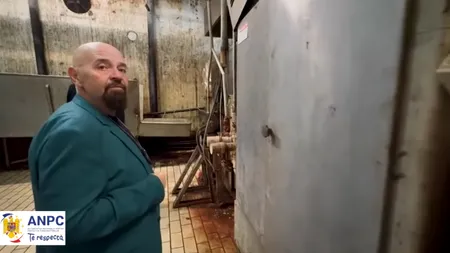 Piedone descinde în abatorul groazei: mizerie cruntă, rugină și carne în condiții șocante la Picofarm Popești-Leordeni
