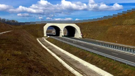 Autostrada Rușinii va fi finalizată la timp, promite Sorin Grindeanu