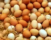 Francezii mănâncă tot mai multe ouă. Producătorii nu mai fac față cererii