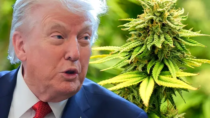 Trump o dă pe ”fumat”: reclasificarea marijuanei și mica ipocrizie utilă a Americii