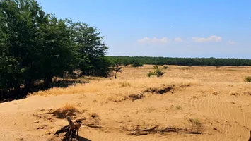 Sudul țării moare lent: Deșertificare masivă, ultimatum pentru România verde