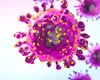 Un nou virus provoacă îngrijorarea medicilor