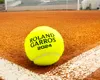 Cinci povești de urmărit la French Open 2024