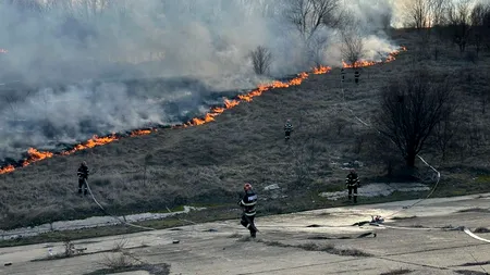 Incendiu puternic în Delta Văcărești din Capitală (Video)
