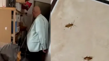 Un restaurant din Mangalia, închis de ANPC după descoperiri șocante: „O luați de la zero!”