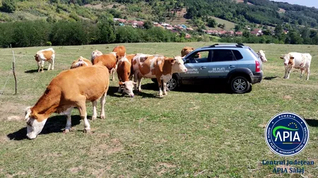 Controale APIA la fermele care au cerut subvenții. Ce trebuie făcut până la 30 septembrie