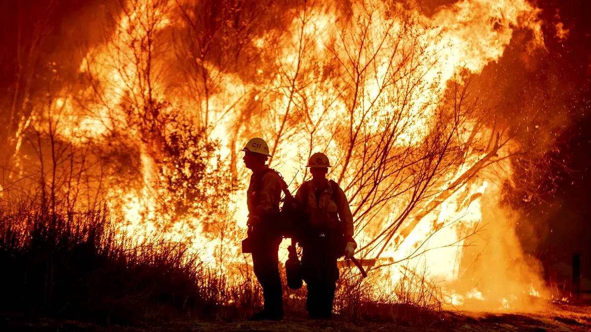 Un pericol al incendiilor din Los Angeles, cu efecte pe termen lung