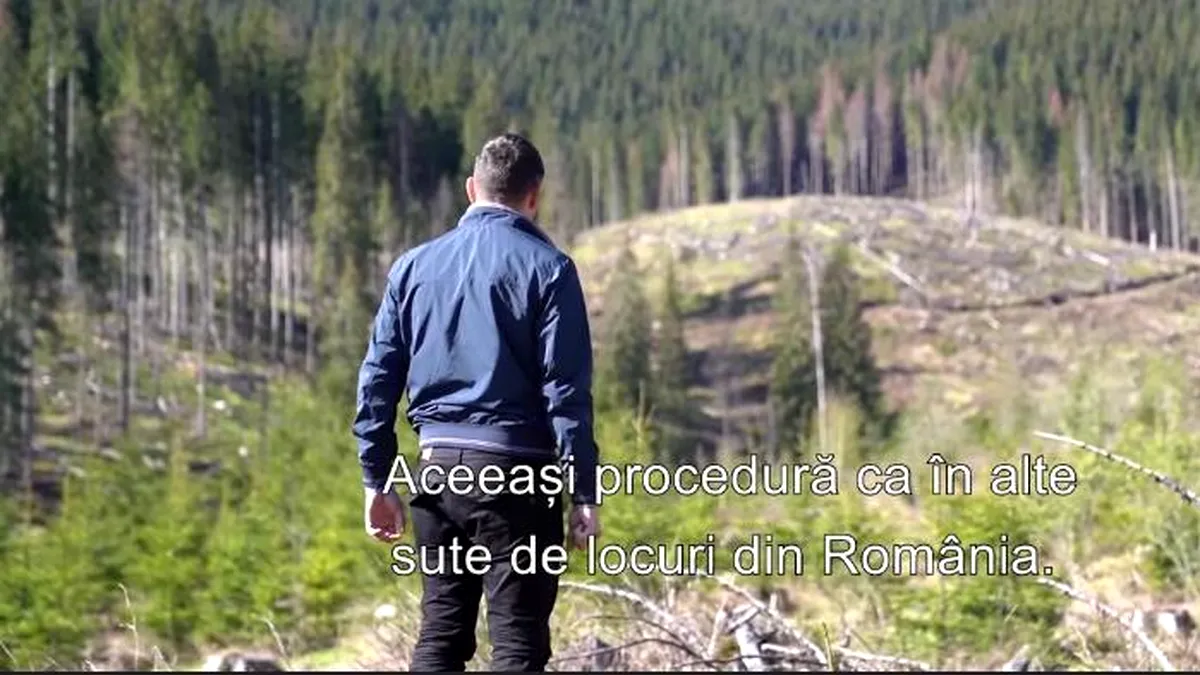 Zone din pădurile familiei premierului Cîțu, tăiate la ras. „Retrocedarea terenului s-a făcut ilegal” (video)
