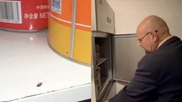 Piedone, control-fulger într-un restaurant chinezesc dintr-un mall din București. Gândaci, mizerie și mâncare expirată (VIDEO)