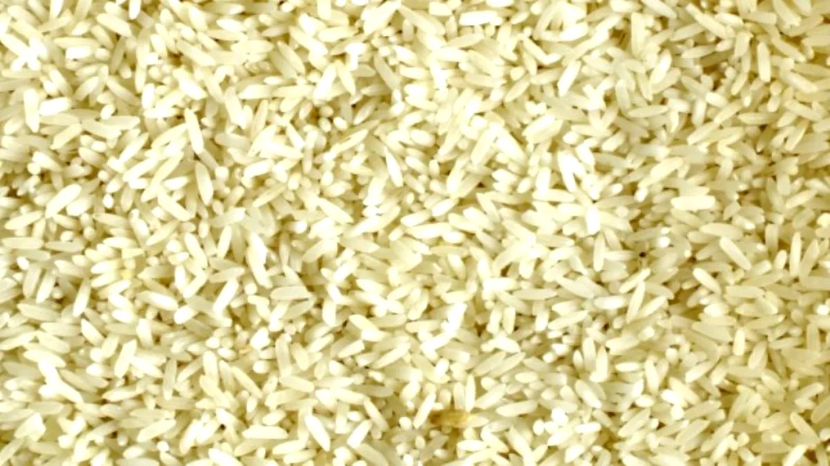 Uniunea Europeană: După muștar, se profilează o penurie de orez