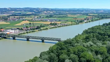 Pod peste Dunăre, blocat de lilieci și ciocănitori
