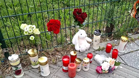 Doi elevi români, printre persoanele rănite, în atacul armat de la o şcoală din Austria