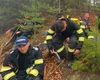 30 hectare de pădure ard de trei zile, în Argeş. Pompierii intervin şi în ziua de Paşte