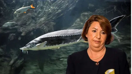 Decont pentru fostul ministru al Mediului, Sulfina Barbu: România a pierdut 60.000.000 de euro și trebuie să plătească despăgubiri de 300.000 de euro pentru pescarii din Delta Dunării
