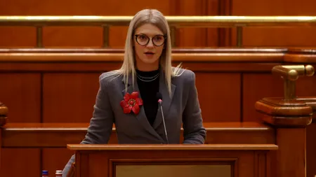Parlamentul a constituit Comisia „România fără violență”. Alina Gorghiu: „În România nu mai băgăm violența sub preș”