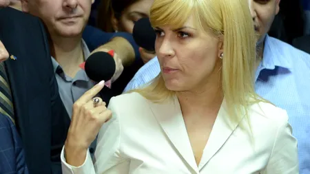 Elena Udrea spune că directorul ANP nu vrea ca deținuții să muncească