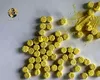 Drogul „Chupa Chups” – Capcana colorată care trimite adolescenți direct la spital. Oferit gratis, dar cu un preț uriaș