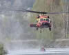 Incendiu de vegetație în Argeș: mobilizare masivă de forțe pentru stingerea flăcărilor din zona Cetățeni