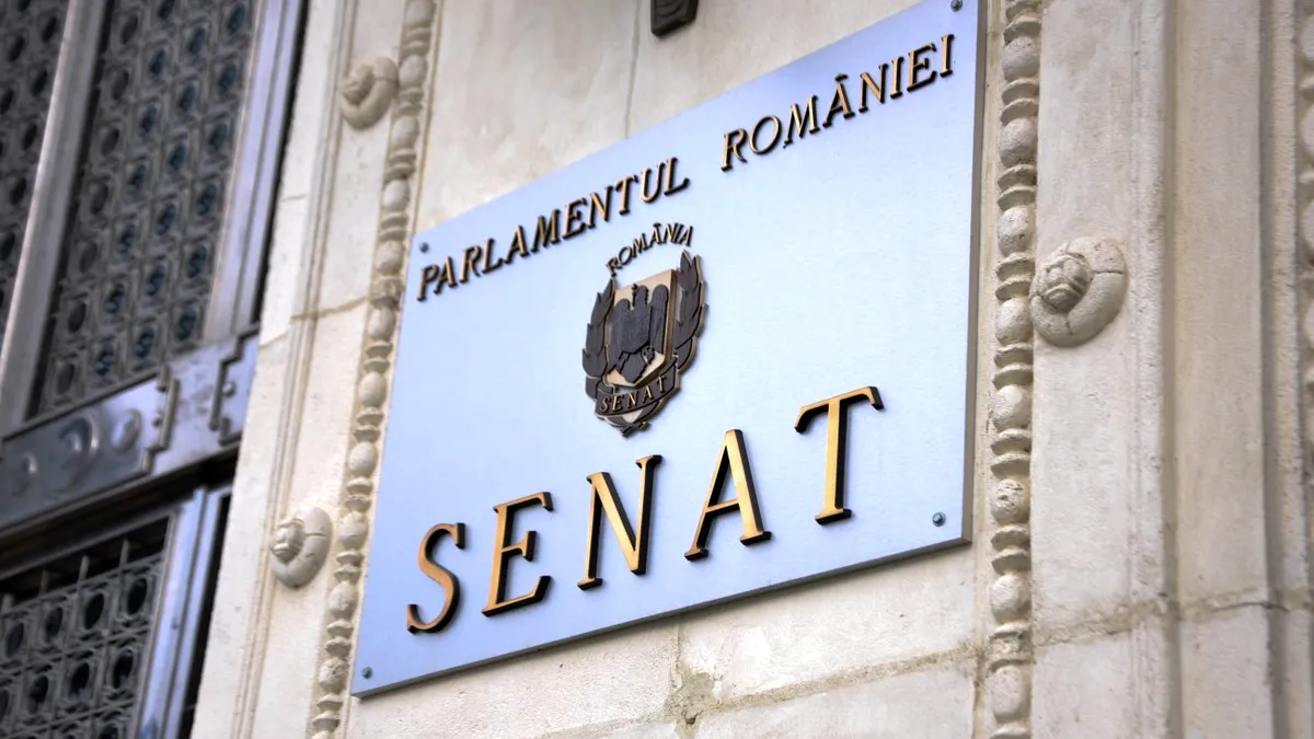Cine este cel mai bine remunerat senator al României