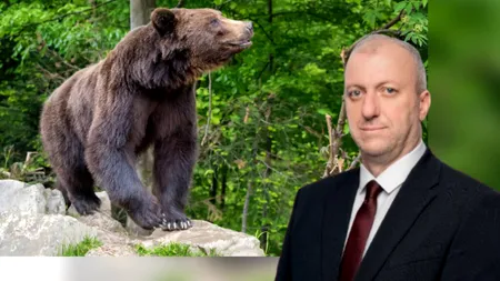 Propunerea unui primar PSD din Buzău: Trei luni de închisoare pentru cei care hrănesc urșii