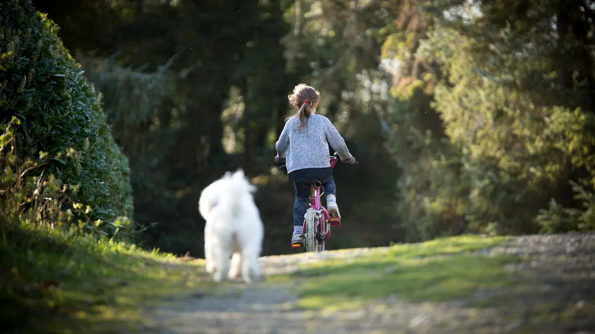 Drumul de biciclete de la Lacul Morii va fi inaugurat duminică. Traseu biciclete Lacul Morii